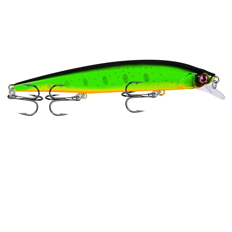 3D Bionic Minnow Fishing Lure